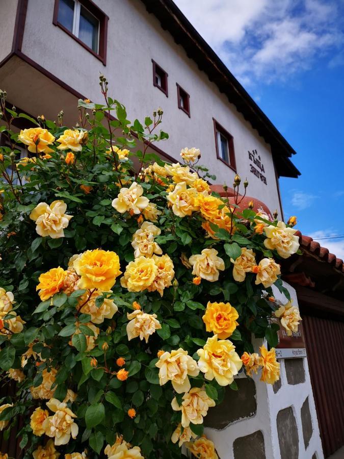 Отель Zigen House Банско Экстерьер фото